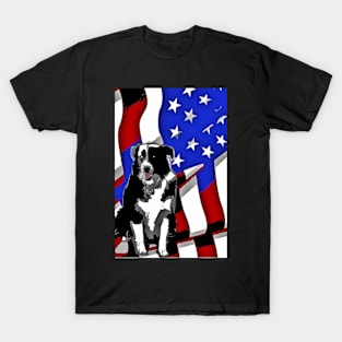 Patriotic Border Collie T-Shirt